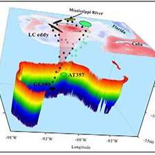 Pub_ECOGIG_Liu_Fig7_slider Conceptual representation of transport of sinking particles. In Spring 2012 (a) particles collected at traps originated from confined, common areas to the north of the traps far from large mesoscale features. In Fall 2012 (b) a large Loop Current eddy dominated the circulation, and particles collected at GC600 originated from the eddy periphery and from inshore, river-influenced high-productive waters. For more details, see Figure 7 in the publication (used with permission from Guangpeng Liu).