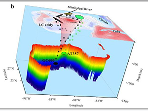 Pub_ECOGIG_Liu_Fig7_slider Conceptual representation of transport of sinking particles. In Spring 2012 (a) particles collected at traps originated from confined, common areas to the north of the traps far from large mesoscale features. In Fall 2012 (b) a large Loop Current eddy dominated the circulation, and particles collected at GC600 originated from the eddy periphery and from inshore, river-influenced high-productive waters. For more details, see Figure 7 in the publication (used with permission from Guangpeng Liu).