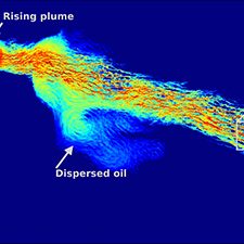 Pub_RFP5_ Meneveau_Chen_PubFigure_slider A numerical model produced patterns of total oil mass in the water column 36 hours after dispersant application of dispersant in a small target area on the surface. The portion of the slick impacted by the dispersant (“dispersed oil”) disconnects from the main plume, being transported in a different direction at much lower speed. Image provided by Charles Meneveau.