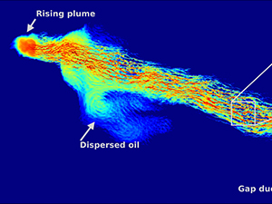 Pub_RFP5_ Meneveau_Chen_PubFigure_slider A numerical model produced patterns of total oil mass in the water column 36 hours after dispersant application of dispersant in a small target area on the surface. The portion of the slick impacted by the dispersant (“dispersed oil”) disconnects from the main plume, being transported in a different direction at much lower speed. Image provided by Charles Meneveau.