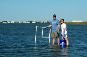 Drs. Sean Powers and Meagan Schrandt sample a nearshore oyster reef in Dauphin Island, Alabama. Photo Credit: ACER