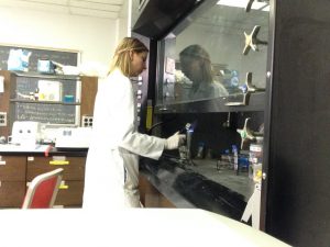 Danielle DeLeo prepares to extract coral tissue and RNA samples at Temple University laboratory, 2015 (Photo provided by Danielle DeLeo).