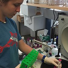 2019 Alexandra Yard_ ultrafiltration_slider Alexandra Yard, a sophomore Marine Biology major with a Chemistry minor at Texas A&M Galveston, applies an ultrafilter centrifugal device to concentrate and purify EPS (biopolymers excreted from microbes) from mesocosm samples for quantifying proteins and polysaccharides. Photo by Chen Xu.
