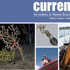 CurrentSpecialIssueCover_slider Permission has been granted to the Gulf of Mexico Research Initiative to use an image of the cover of the special issue of Current: The Journal of Marine Education featuring the Gulf of Mexico Research Initiative (Vol. 33, No. 1, Winter 2019) published by the National Marine Educators Association (NMEA) ©2019. For more information about the NMEA, please visit www.marine-ed.org.