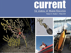 CurrentSpecialIssueCover_slider Permission has been granted to the Gulf of Mexico Research Initiative to use an image of the cover of the special issue of Current: The Journal of Marine Education featuring the Gulf of Mexico Research Initiative (Vol. 33, No. 1, Winter 2019) published by the National Marine Educators Association (NMEA) ©2019. For more information about the NMEA, please visit www.marine-ed.org.