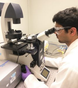 Study co-author Narendra Dewangan, a graduate student in Chemical Engineering at the University of Houston, examines marine bacteria adhered to oil droplets using a confocal microscope. Credit: Diego Soetrisno (member of Conrad lab)