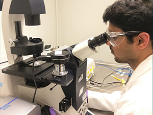 Study co-author Narendra Dewangan, a graduate student in Chemical Engineering at the University of Houston, examines marine bacteria adhered to oil droplets using a confocal microscope. Credit: Diego Soetrisno (member of Conrad lab)