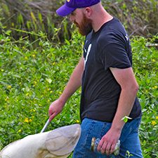 Ben Aker collects insects in Louisiana marshes using a sweep net. (Photo credit: Claudia Husseneder)
