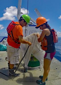 Jason Mostowy and Nina Pruzinsky rinse the catch from the bongo nets into the codend on a DEEPEND ichthyoplankton cruise aboard the R/V Pelican. (Photo provided by Nina Pruzinsky)
