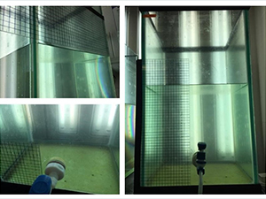 Marine oil snow aggregates settled on the bottom of mesocosm tanks during the long-term mesocosm experiments at Texas A&M University at Galveston. Photo credits: Rachel Windham.