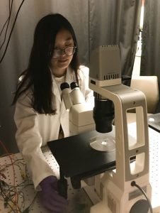 Ph.D. student Jiayi Deng, University of Pennsylvania Department of Chemical and Biomolecular Engineering, observes bacteria motility using optical microscopy. (Provided by Tianyi Yao)