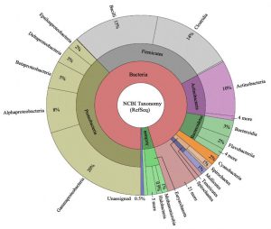 This KronaTool map depicts the relative taxonomic breakdown of the genomes used in this study Sevigny et al., BMC Genomics volume 20, Article number: 268 (2019). The inner circle represents genomes at the domain, the middle circle corresponds to phylum, and the outer circle represents data at the class level. Figure 2 in the study, used with permission from Joseph Sevigny.