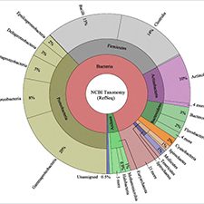 RFP5_Thomas_Sevigny_PredictingMicrobialFunctioning_Image_slider This KronaTool map depicts the relative taxonomic breakdown of the genomes used in this study Sevigny et al., BMC Genomics volume 20, Article number: 268 (2019). The inner circle represents genomes at the domain, the middle circle corresponds to phylum, and the outer circle represents data at the class level. Figure 2 in the study, used with permission from Joseph Sevigny.