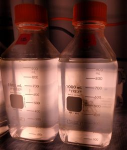 Culture bottles that researchers with the ADDOMEx consortium used in oil-exposure experiments with phytoplankton. Photo by Laura Bretherton.