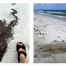 Huettel_Beach Pictures_slider Oil contamination at Pensacola Beach, Florida. Left: Oil-coated sand grains blown across the beach by Hurricane Alex (June 20, 2010). Middle: Large sediment-oil agglomerates buried in the beach (June 30, 2010). Right: The oil-contaminated sand layer reached 70 cm thickness. (Photos by Markus Huettel).