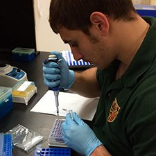 University of North Texas Ph.D. student Fabrizio Bonatesta prepares a polymerase chain reaction (PCR) plate to asses transcriptional changes in zebrafish kidney development. (Photo credit: Ed Mager)