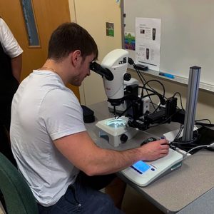 University of North Texas Ph.D. student Fabrizio Bonatesta operates a microinjector that injects fish larvae with a fluorescence solution so he can measure kidney clearance capacity. (Photo credit: Ed Mager)