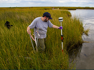RFP-V Foil_Scholar_Rayle1_slider Patrick Rayle, a master’s student at Louisiana State University AgCenter, sets up a sample transect at a marsh site that has not experienced shearing. (Photo by Claudia Husseneder)