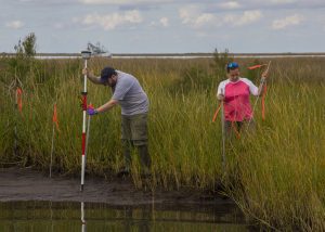 Patrick Rayle (left), a master’s student at Louisiana State University AgCenter, takes GPS coordinates as research associate Erin Stevens (right) sets up sample transect marker poles at a marsh site that experienced shearing. (Photo by: Claudia Husseneder)