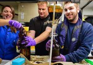 Coastal Carolina University master’s student Elana Ames (left) and Dr. Richard Peterson (middle) open an oil sampler while fellow master’s student Matthew Kurpiel (right) uses a funnel that separates oil from seawater. (Used with permission from photographer Jason Gonzales iamjgvisuals.com.)
