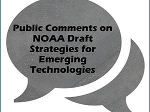 Image Public Comment_slider