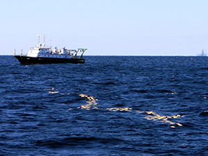 CARTHE_Vessel&BambooPlates_slider Biodegradable bamboo plates float on the ocean’s surface during a dispersion experiment in the Gulf of Mexico, February 2016. The research vessel Walton Smith and an oil platform are in background. Photo Credit: Maristella Berta