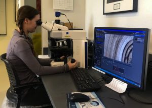 Nova Southeastern University master’s student Natalie Slayden counts otolith rings using a microscope-mounted camera. (Photo by Nina Pruzinsky)