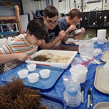 DROPPS_BioBlitz_SortingSamples_slider Students and volunteers pick sort marine specimens collected during the 2019 Texas BioBlitz, which resulted in a DNA census of the area’s marine organisms. Photo: MarineGEO https://naturalhistory.si.edu/research/invertebrate-zoology/news-and-highlights/marinegeo-bioblitz-2019 Permission from Lesley Aldrich Public Relations Blackbaud Inc.