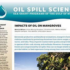 SeaGrant_Mangroves_Pic_slider