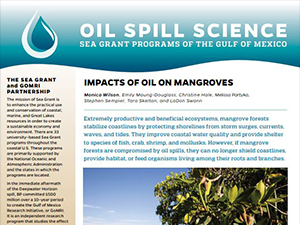 SeaGrant_Mangroves_Pic_slider