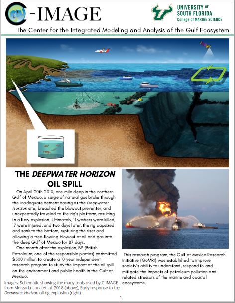 oil spill research paper pdf