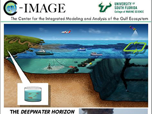 Cover of the C-IMAGE booklet that highlights nearly a decade of oil spill research.