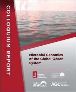 Front cover of the colloquium report by the American Academy of Microbiology (ASM’s honorific leadership group), the American Geophysical Union (AGU), and the Gulf of Mexico Research Initiative (GoMRI). Image on cover by Samantha Joye.