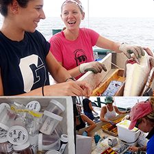 Collage_slider (Top) C-IMAGE researchers collect golden tilefish bile and tissue samples to measure oil exposure. Photo by Steve Murawski. (bottom, left) Tissue, bile, and blood samples collected from Gulf of Mexico fish are stored in a cooler for later analysis. Provided by C-IMAGE. (bottom, right) C-IMAGE researchers process and collect blood, bile, liver, and tissue samples from fish captured during the 2015 Mud & Blood research cruise. Photo by Elizabeth Herdter.