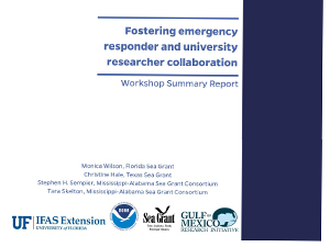 Researcher-Responder-Workshop-Report_Page_01_slider