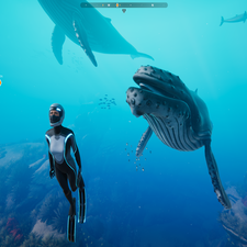 rsz_ecogig_beyondblue_screenshot01_2560x1440 A screenshot of a scene in the Beyond Blue video game. Provided by E-Line Media