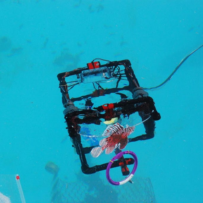 EducationSpotlight2 Team Santa Rosa’s ROV targets a lionfish during the Deep-C ROV competition at Dauphin Island Sea Lab. Photo Credit: Tina Miller-Way.