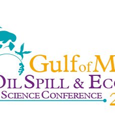 2017ConferenceLogoOnOasis