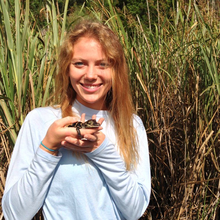 Alexis Temkin, Ph.D. candidate at the Medical University of South Carolina, gets up close and personal during an alligator release trip. Image Credit: Jessica Cloy-McCoy, RFP-II: Using Embryonic Stem Cell Fate to Determine Potential Adverse Effects of Petroleum/ Dispersant Exposure. Alexis Temkin, Ph.D. candidate at the Medical University of South Carolina, gets up close and personal during an alligator release trip. Image Credit: Jessica Cloy-McCoy, RFP-II: Using Embryonic Stem Cell Fate to Determine Potential Adverse Effects of Petroleum/ Dispersant Exposure.