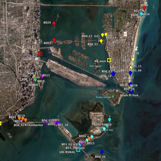 Bay Drift Squares indicate launch sites from the Bay Drift Project. Corresponding dots are the locations of recovered drift cards. Photo Credit: Laura Bracken, CARTHE.