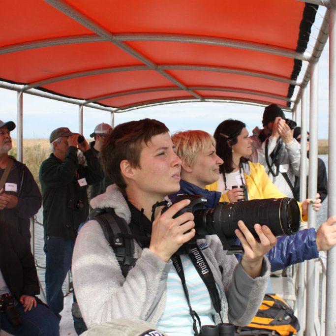 Participants try to get a good look at bird species that call the marsh home during a boat tour of the salt marsh. Image Credit: Murt Conover, LUMCON and CWC. Participants try to get a good look at bird species that call the marsh home during a boat tour of the salt marsh. Image Credit: Murt Conover, LUMCON and CWC.