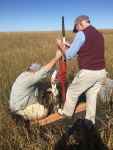 Mark Besonen and Gene Turner extracting marsh core. Photo Source: Mike Parsons.