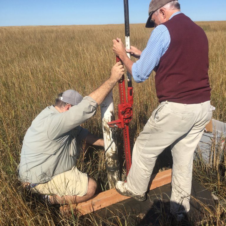 Mark Besonen and Gene Turner extracting marsh core. Photo source Mike Parsons Mark Besonen and Gene Turner extracting marsh core. Photo Source: Mike Parsons.