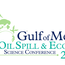 2019 Conference logo