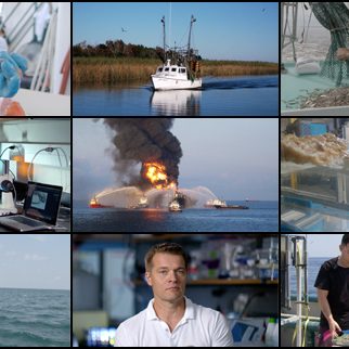 dispatches-montage-577×322-FINAL Collage Credit: Screenscope.