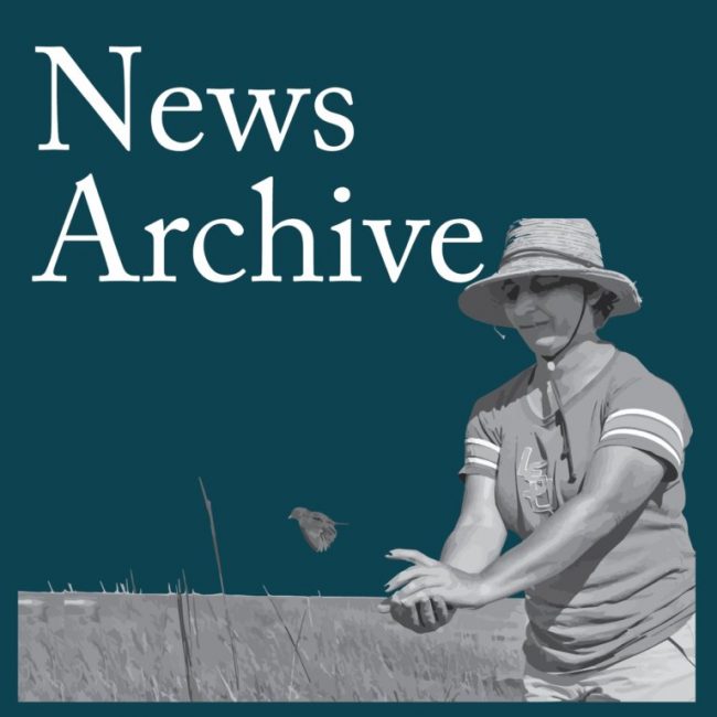 NewsArchive_v1a