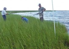 Sean Graham, Stefan Bourgoin, and Don Deis collect samples at a study site in northern Barataria Bay, Louisiana. (Photo provided by Qianxin Lin)